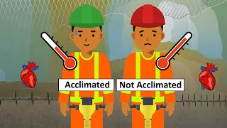 Heat Acclimatization Overview [upl. by Aicenra]