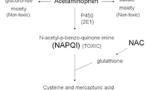 Acetaminophen Toxicity  Poisoning [upl. by Ysdnil]