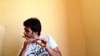 Galliyan  Flute Cover  Ek Villain [upl. by Ahgem]