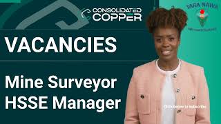 ⛏️🧷Vacancies Ongopolo Mining Limited Mine Surveyor HSSE Manager Closing Date 31 May 2024 [upl. by Aicetal]