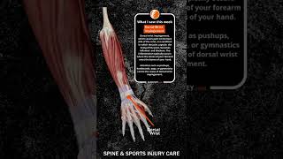 Dorsal wrist impingement  shorts Winnipeg Chiropractor Athletic Therapist [upl. by Doralin]