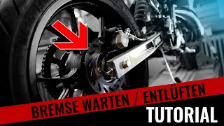 Moped Bremse warten amp entlüften  Tutorial  Rieju MRT 50 [upl. by Haimrej]