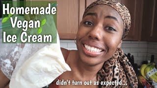 COOKING W ANNA HOMEMADE VEGAN ICE CREAM DISASTER [upl. by Ilyak]