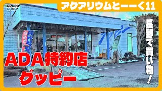 アクアリウムショップ「グッピー」長野県屈指のADA特約店で買い物してきました！【アクアリウムとーーく11】 [upl. by Castor]