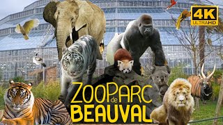 Zoo Parc De Beauval  France 🇫🇷May 2022  4K  HDR 60fps Walking Tour Part 1  A Walk In Paris [upl. by Devy277]