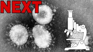 All microscope images of new coronavirus  timelapse of COVID 19 Grown by scientists in Melbourne [upl. by Ahsennod]