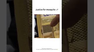 Justice for mosquito 🦟explore meme [upl. by Bettina]