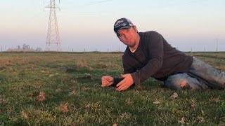 Pasture Aeration Two Month Update [upl. by Vyner]