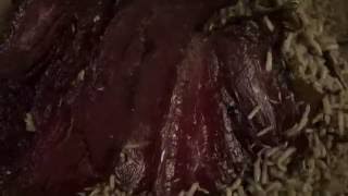 Maggots eating meat  HD timelapse video [upl. by Padriac]