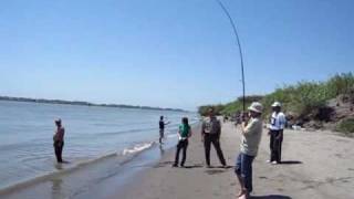 Rio Vista Fishing Sandy Beach Park Sturgeon Part 1 Sacramento river California [upl. by Winny]