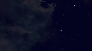 10 Minutes of Coqui Sounds Puertorican frog Sounds at night time [upl. by Ecnerrat]