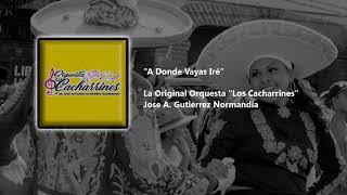 A Donde Vayas Iré  Carnaval  La Original Orquesta Los Cacharrinesquot 2020 [upl. by Budd471]