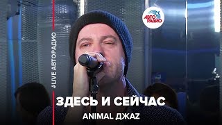 Animal ДжаZ  Здесь и Cейчас LIVE  Авторадио [upl. by Dorren379]