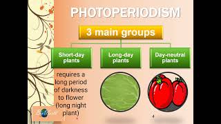 Biology STPM Photoperiodism [upl. by Ycinuq]