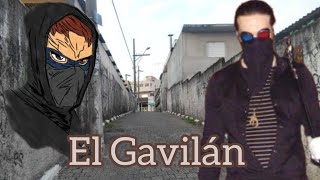 ¿Quién es el Gavilán  Doctor Discord RLSH [upl. by Akiam]