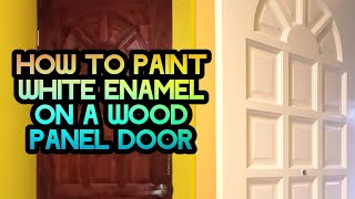 HOW TO PAINT A PANEL DOOR diy woodpainting doorpainting painter interiordoors [upl. by Calore800]