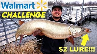 2 Walmart Lure Catches FISH OF A LIFETIME Walmart Challenge [upl. by Robert]