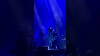 Hozier’s Electrifying Concert Performance 🎤  Shorts [upl. by Hach217]