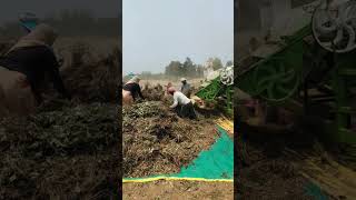 Multicrop thresar setting multicropthresher tractor farming agriculture trending shorts [upl. by Assilam]