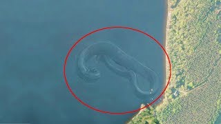 7 Mysterious Deep Sea Creatures Spotted On Google Earth [upl. by Neelyahs]