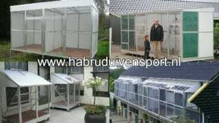 Habru duivensport [upl. by Hcire]