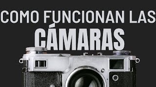 Descubre cómo funcionan las cámaras fotograficas [upl. by Adnohsar535]