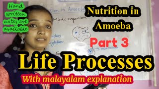 Life Processes Class 10 Science BiologyNutrition in AmoebaChapter 6 CBSE NCERT [upl. by Eerbua]