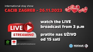 CACIB ZAGREB 26112023 [upl. by Mazurek]