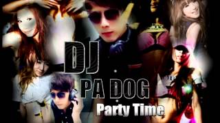 DJ PA DOG 夜店轟炸機 2013 [upl. by Punak]