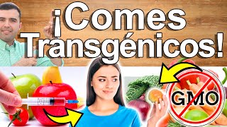 COMES TRANSGENICOS Y NO LO SABES  10 Alimentos Veneno Geneticamente Modificados Que Comes a Diario [upl. by Brittaney]