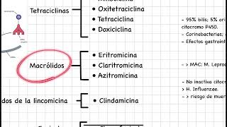 Farmacología básica antibióticos inhibidores de la síntesis de proteínas [upl. by Aytak]