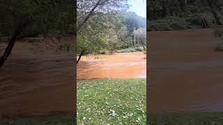 NC flooding fypagefyp youtubeshorts shorts flood shortsvideo short [upl. by Adnuahsar]