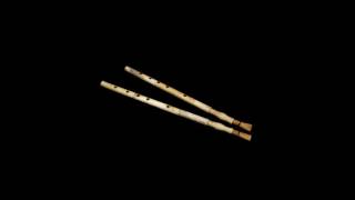 Bone Aulos from Paestum double pipe [upl. by Maziar]