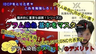 ⑥①グラム染色の基本をマスター！グラム染色の⑤つのメリット③つのデメリット＜臨床的に重要な細菌シリーズ①＞ [upl. by Abigail]