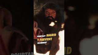 🤓 Incollable sur Rubeus Hagrid ⚡️ harrypotter rubeushagrid poudlard [upl. by Martens]