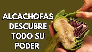 Las Alcachofas✅ 14 MARAVILLOSAS Propiedades Y Beneficios De Las Alcachofas Para Potenciar Tu Salud🟢 [upl. by Loomis]