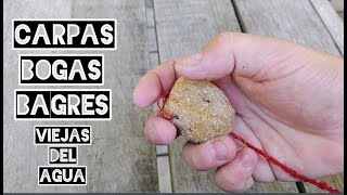 Masa para pescar Carpas Bogas y Bagres Fácil y Económica [upl. by Osei]