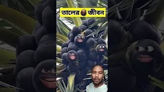 তালের জীবনে 😂  funnyvideo comedyshorts [upl. by Clarette820]