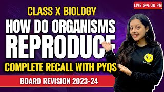 How do Organisms Reproduce Complete Recall with PYQs Biology  Class 10th Science with Sonam maam [upl. by Neely]