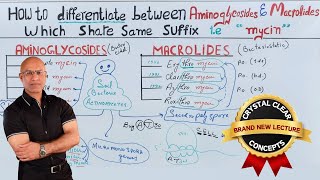 Aminoglycosides vs Macrolides  Antibiotics  Pharmacology [upl. by Nolur]