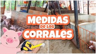 Te enseño las MEDIDAS de mi granja 🐷🛠 cuanto miden los CORRALES [upl. by Notsrik]