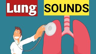 Breath Sound or Lung sound  Abnormal Lung sound  lets Hear it [upl. by Sillaw550]