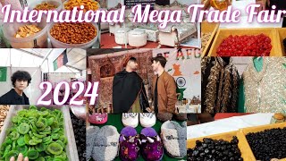 International Mega Trade Fair 2024  Ranjit Avenue Amritsar Punjab  Trade fare selfie point Part 3 [upl. by Ru399]