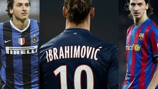 Zlatan Ibrahimović ● 1999  2014 ● Skills amp Goals [upl. by Dominica]