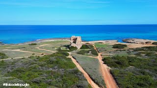 Torre Pozzelle  IL FALCO DELLA PUGLIA [upl. by Eiggam]