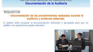 NIA 230 Documentación de auditoría [upl. by Niran]