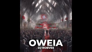 DJ ROBVEE ft Alina amp Michael Mack  Oweia [upl. by Anerol]