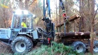 Forwarder Vimek 6102  Thinning Operation [upl. by Ewen]