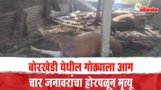 बोरखेडी येथील गोठ्याला आग चार जनावरांचा होरपळून मृत्यू  cowshed fire at Borkhedi  risod  washim [upl. by Atikat960]