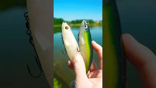 This Lure Catches MONSTER Bass… [upl. by Ybot]